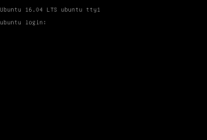 Primera terminal Linux